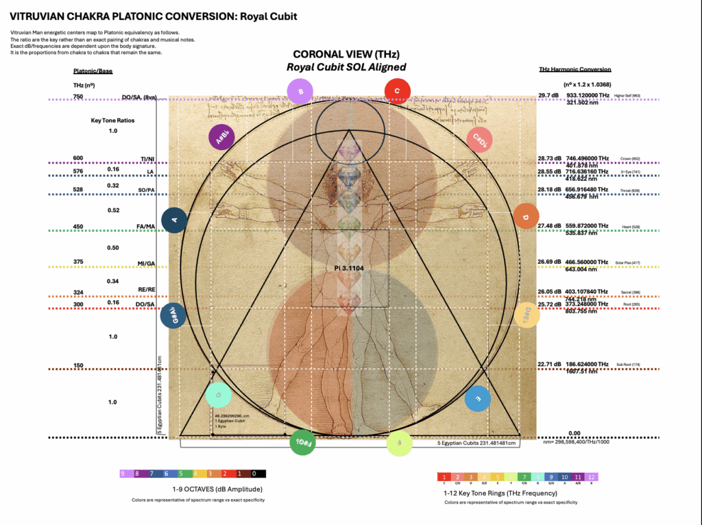 VIP man rc body mass harmonics