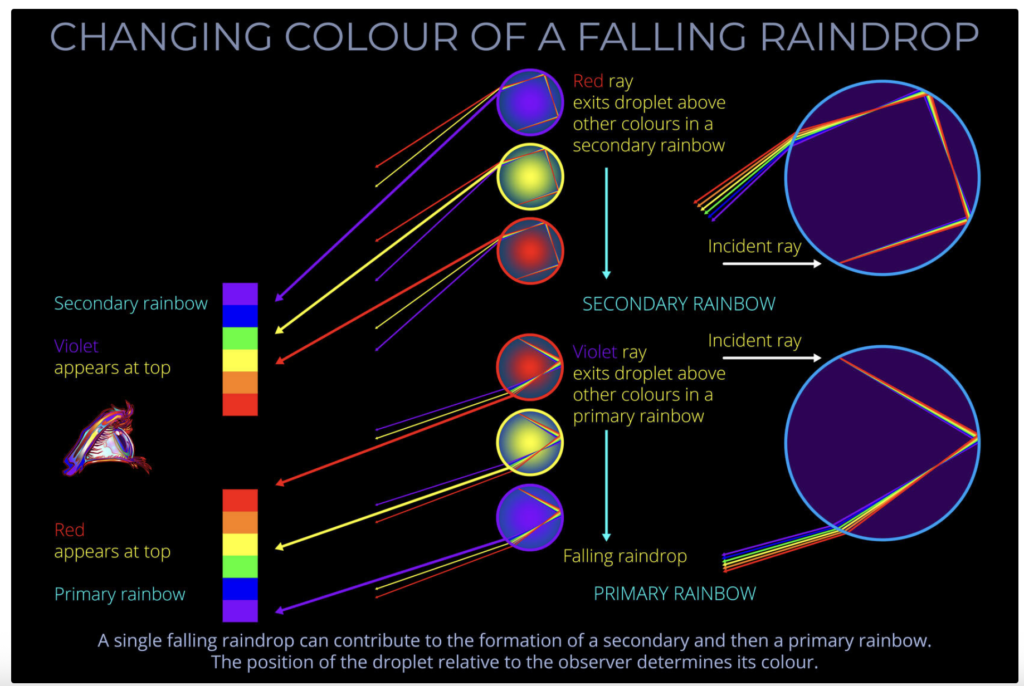 Primary and secondary rainbows