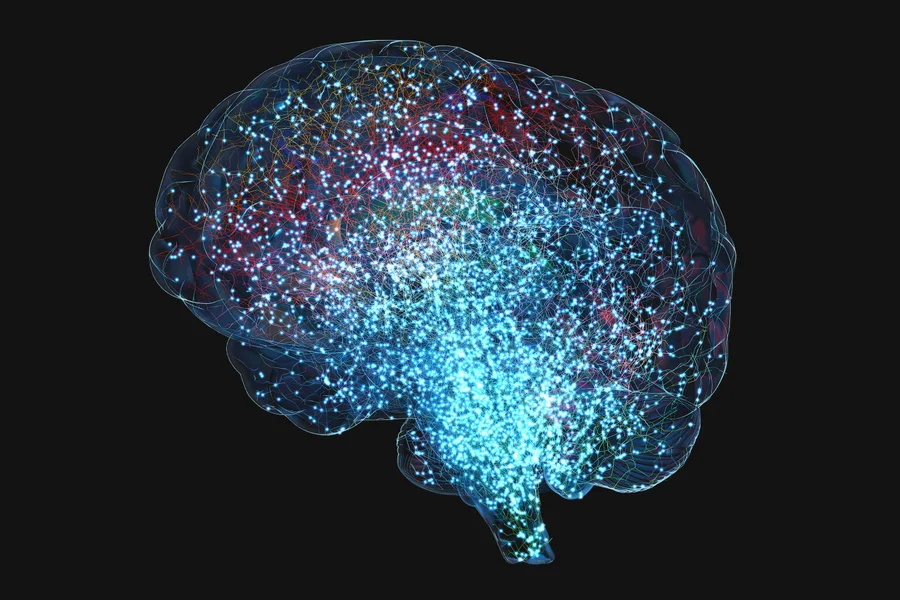 Neural signal mapping