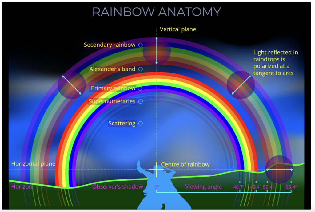 primary vs secondary rainbow