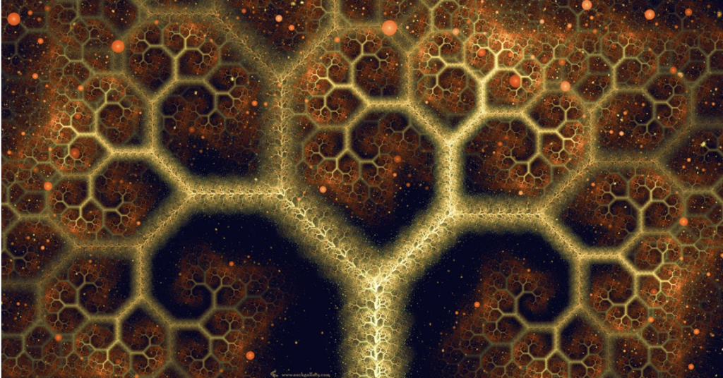 Botany light fractals