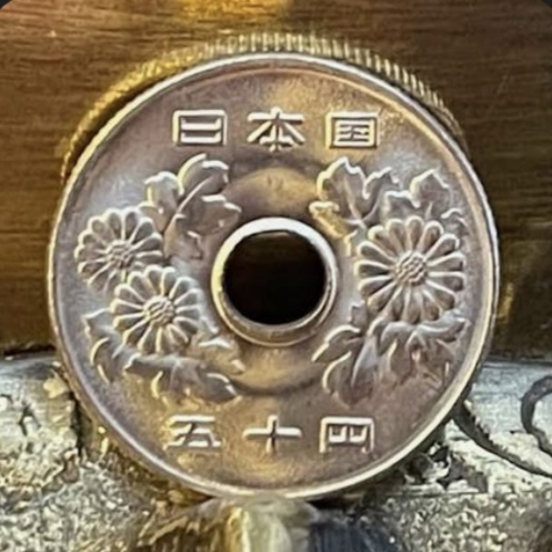 Chrysanthemum the Sun