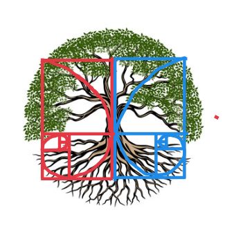 FIBO tree