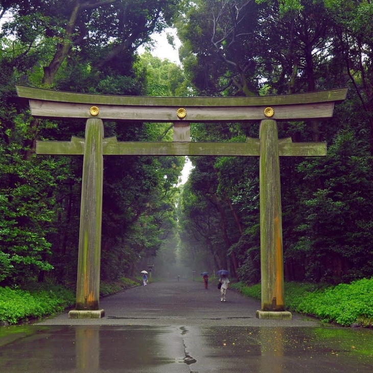 Torii 1